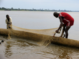 Fleuve Oubangui