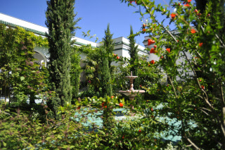 Jardin de la grande Mosquée de Paris