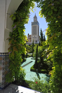 Jardin de la grande Mosquée de Paris