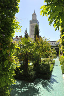 Jardin de la grande Mosquée de Paris