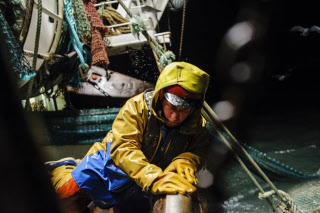 Pêche dans la Manche sur un chalutier