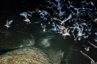 Pêche dans la Manche sur un chalutier