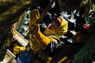 Pêche dans la Manche sur un chalutier