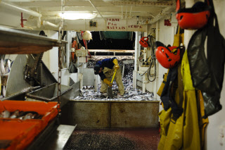 Pêche dans la Manche sur un chalutier