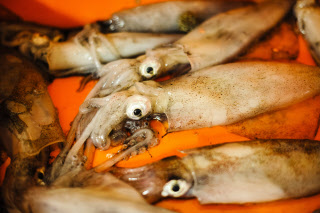 Pêche dans la Manche sur un chalutier