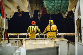 Pêche dans la Manche sur un chalutier