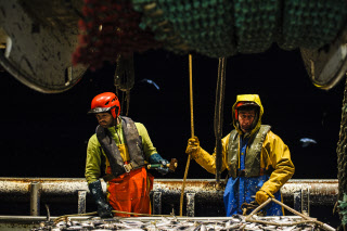 Pêche dans la Manche sur un chalutier