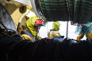 Pêche dans la Manche sur un chalutier