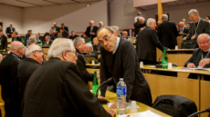 Ouverture de l'Assemblée plénière des évêques de France à Lourdes
