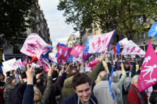 Manif pour Tous, manifestation pour soutenir le projet de loi anti-GPA