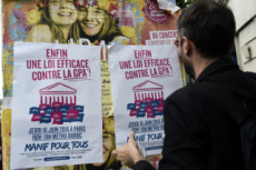 Manif pour Tous, manifestation pour soutenir le projet de loi anti-GPA