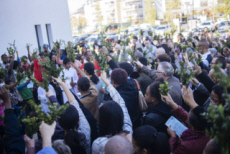 Messe des rameaux à Saint Pierre du Perray