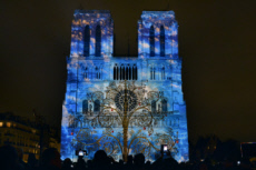 Centenaire de la première guerre mondiale, son et lumière à Notre-Dame de Paris.