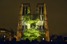 Centenaire de la première guerre mondiale, son et lumière à Notre-Dame de Paris.