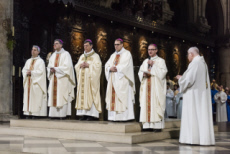 Messe Chrismale célébrée en la cathédrale Notre Dame à Paris.