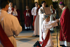 Ordinations sacerdotales en la cath. Notre Dame à Paris, France.