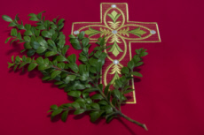 Couleur liturgique lors de la fête des Rameaux.