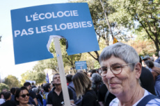Marche pour le climat à Paris.