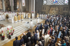 Mgr Matthieu ROUGE, nouvel évêque de Nanterre
