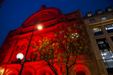 L'AED alerte sur la liberté religieuse dans le monde.
