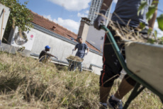 Jeunes migrants, dispositif d'insertion sociale et professionnelle en Ile-de-France.