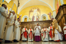 Cardinal Maurice E. PIAT.
