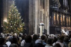Messe de l'Immaculée Conception, Mgr Michel AUPETIT, archevêque de Paris.