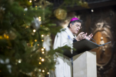 Messe de l'Immaculée Conception, Mgr Michel AUPETIT, archevêque de Paris.