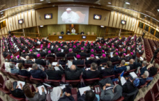 Sommet international sur les abus sexuels dans l’Eglise catholique.
