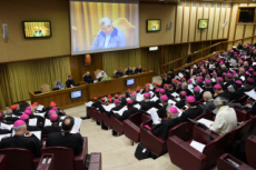 Sommet international sur les abus sexuels dans l’Eglise catholique.