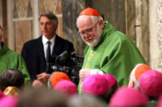 Messe de clôture du sommet international sur les abus sexuels dans l’Eglise catholique.