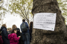 Incendie de la cathédrale Notre-Dame de Paris, poême accroché à un arbre.