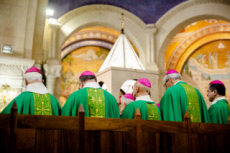 Messe célébrée en la basilique Notre Dame du Rosaire à Lourdes.