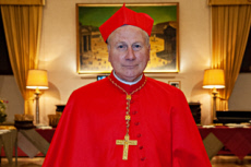 Portrait du Card. Michael L. FITZGERALD.