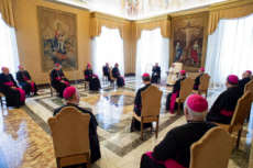 Le pape Franços reçoit au Vatican un groupe d'évêques français.