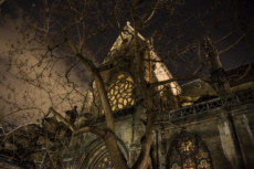 Eglise Saint-Germain-l'Auxerrois, Paris.