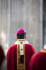 Mgr AUPETIT, vu de dos.
