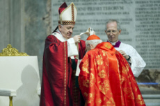Le pape François remet les pallium aux archevêques métropolitains.