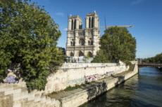 Cathédrale Notre-Dame de Paris.