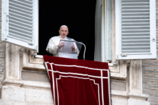 Prière de l'angélus, Le pape François à la fenêtre du palais apostolique.
