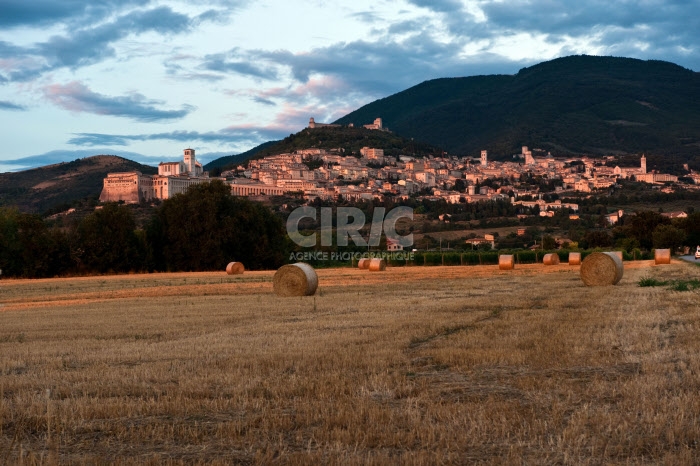 Assise