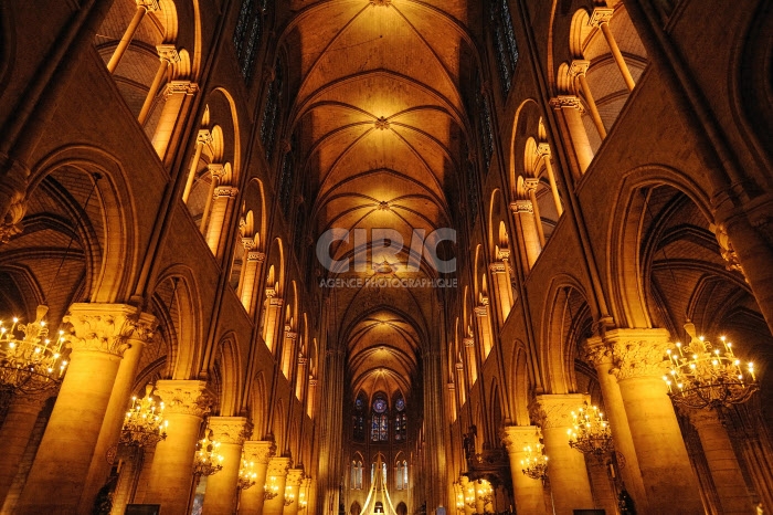 Cathédrale Notre-Dame de Paris