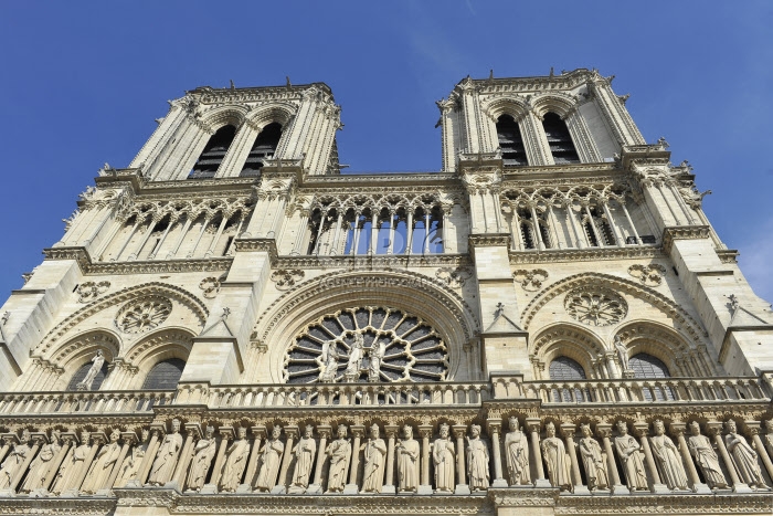 Cathédrale Notre-Dame de Paris 