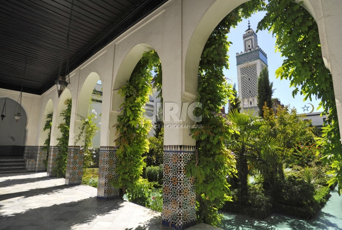 Jardin de la grande Mosquée de Paris