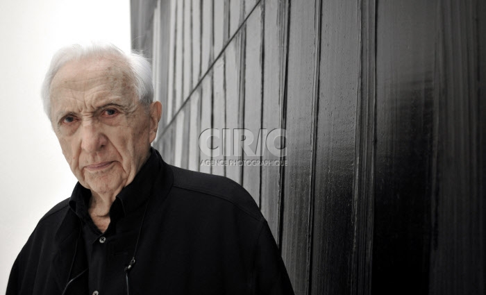 Portrait de l'artiste Pierre SOULAGES