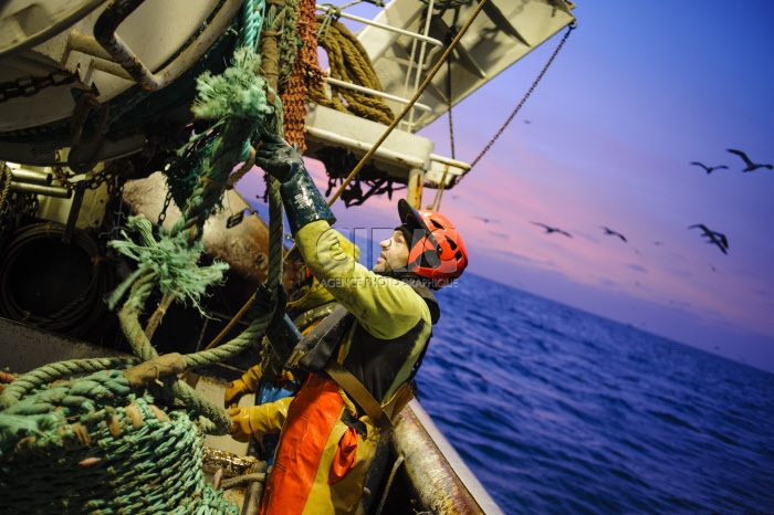 Pêche dans la Manche sur un chalutier