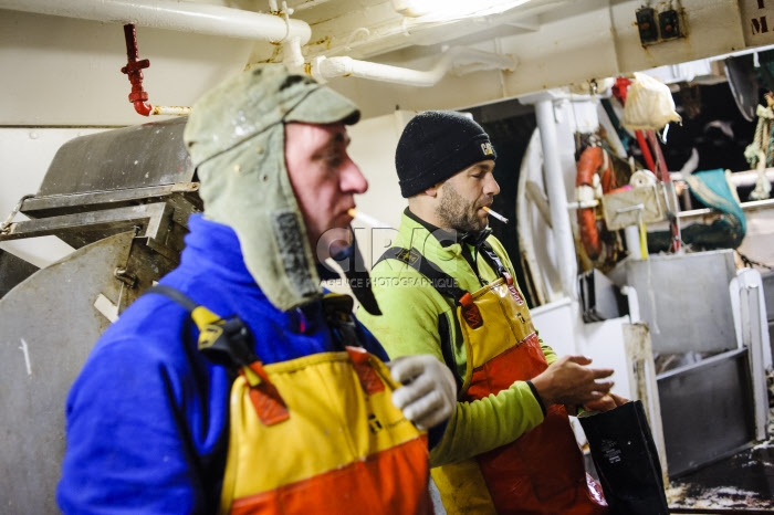 Pêche dans la Manche sur un chalutier
