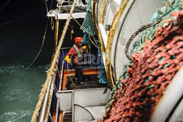 Pêche dans la Manche sur un chalutier