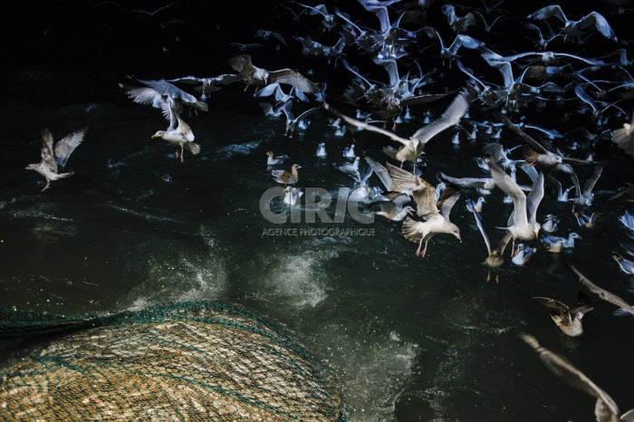 Pêche dans la Manche sur un chalutier