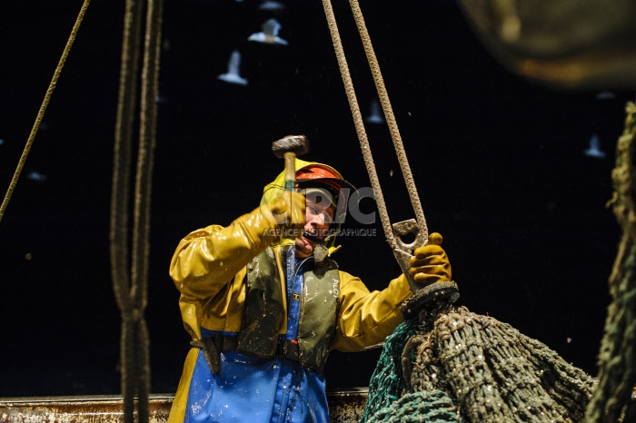 Pêche dans la Manche sur un chalutier